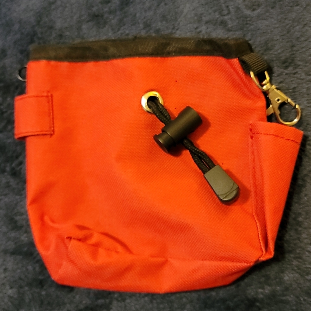 Animal treat and training bag